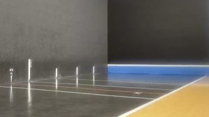 cestau holgura master kaiola