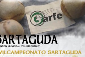 torneo sartaguda séptima edición