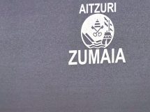 jornada navarra dinastia etxabe